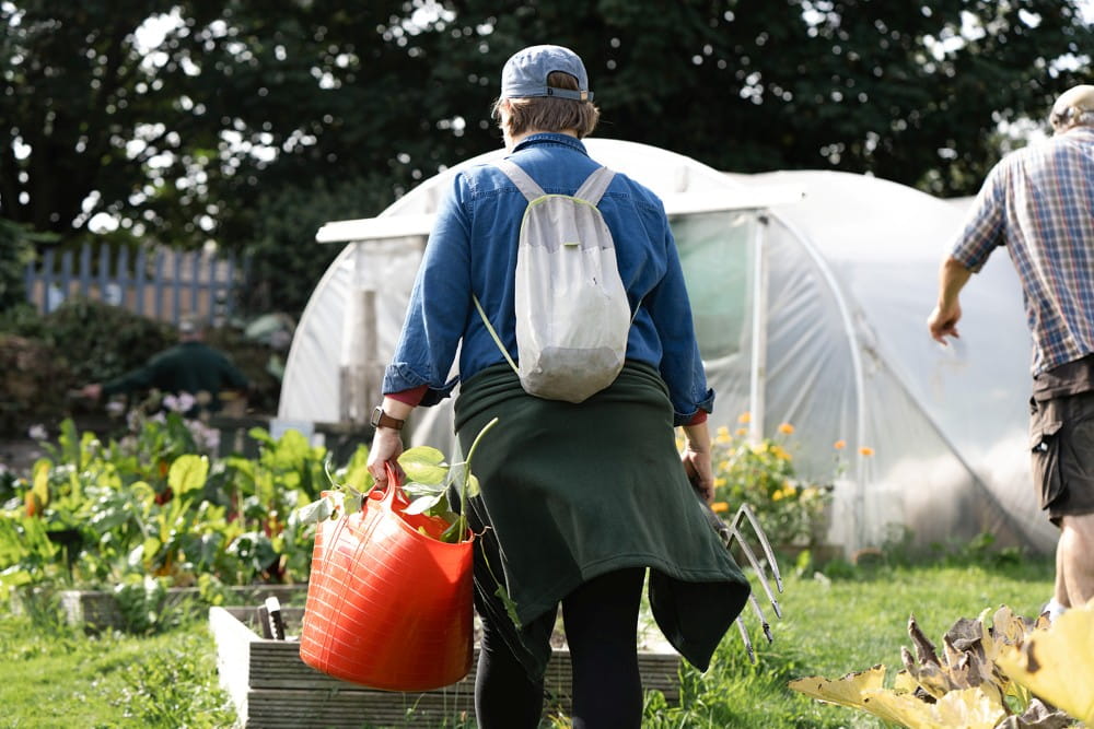 Two people working on an allotment.