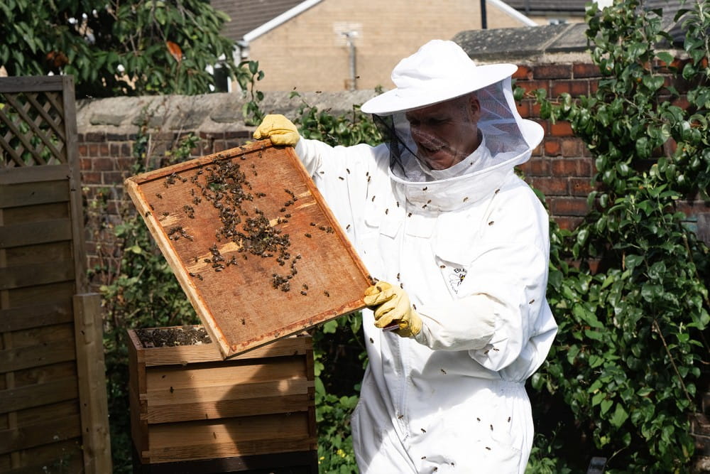 A beekeeper works with a hive.