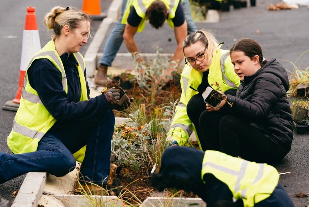 Planting in the highway helps to absorb rainwater.